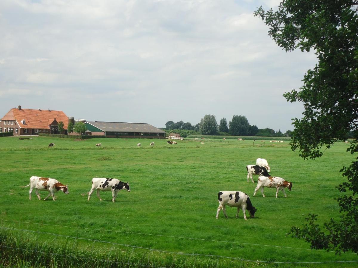 Klein Vreugderijk Bed & Breakfast Зволе Екстериор снимка